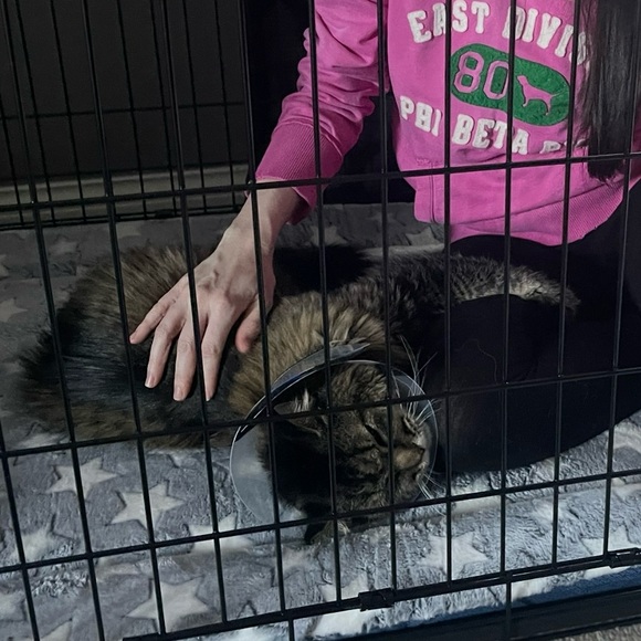 Multi Color Geometric Dress by Express - Picture 8 of 13